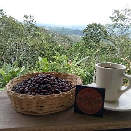 Hotel Green Mountain Turrialba Luaran gambar