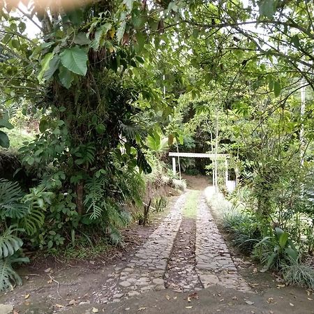 Hotel Green Mountain Turrialba Luaran gambar