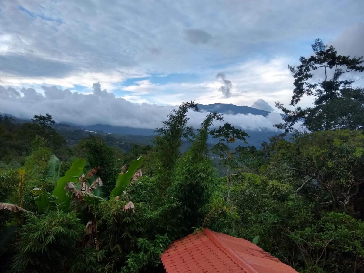 Hotel Green Mountain Turrialba Luaran gambar