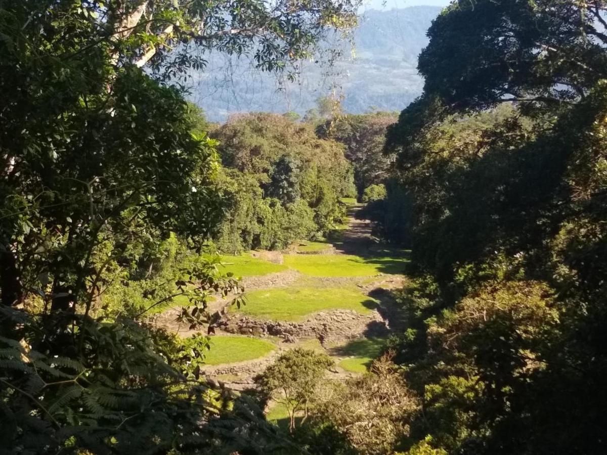 Hotel Green Mountain Turrialba Luaran gambar