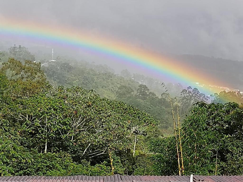 Hotel Green Mountain Turrialba Luaran gambar