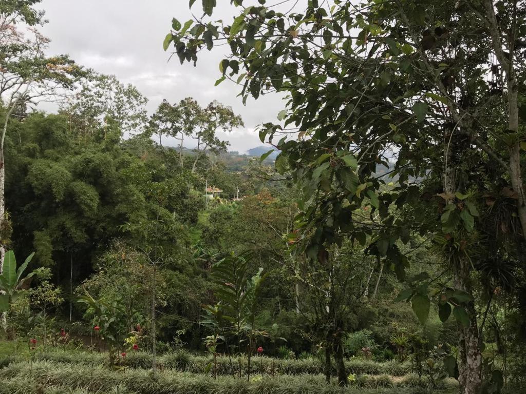 Hotel Green Mountain Turrialba Luaran gambar