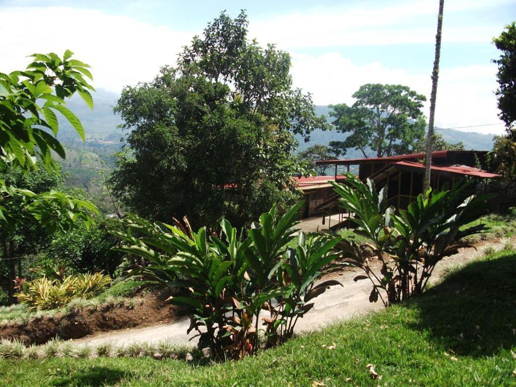 Hotel Green Mountain Turrialba Luaran gambar