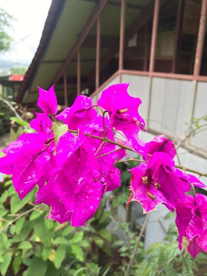 Hotel Green Mountain Turrialba Luaran gambar