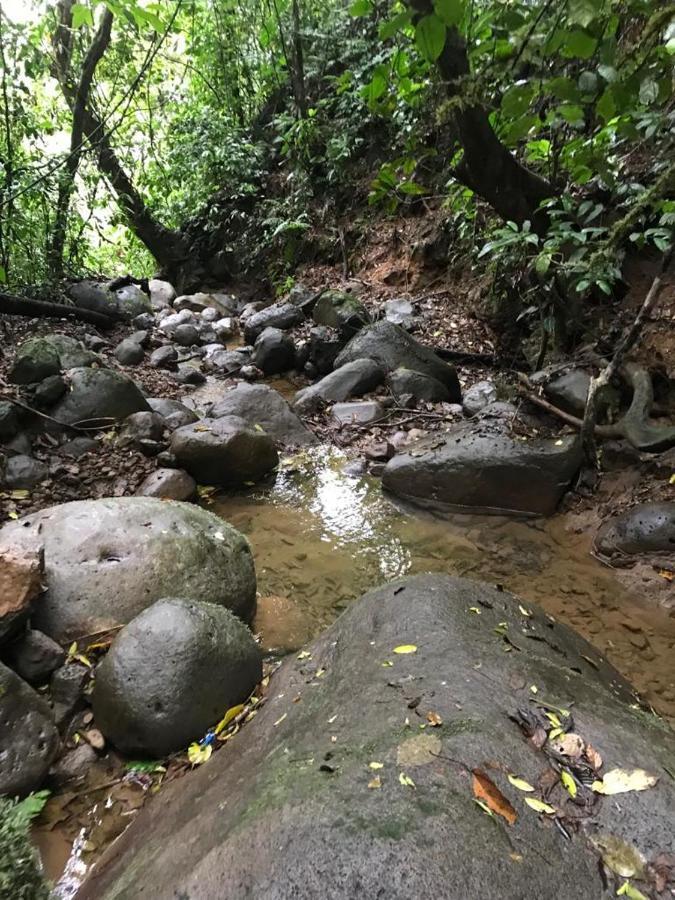 Hotel Green Mountain Turrialba Luaran gambar