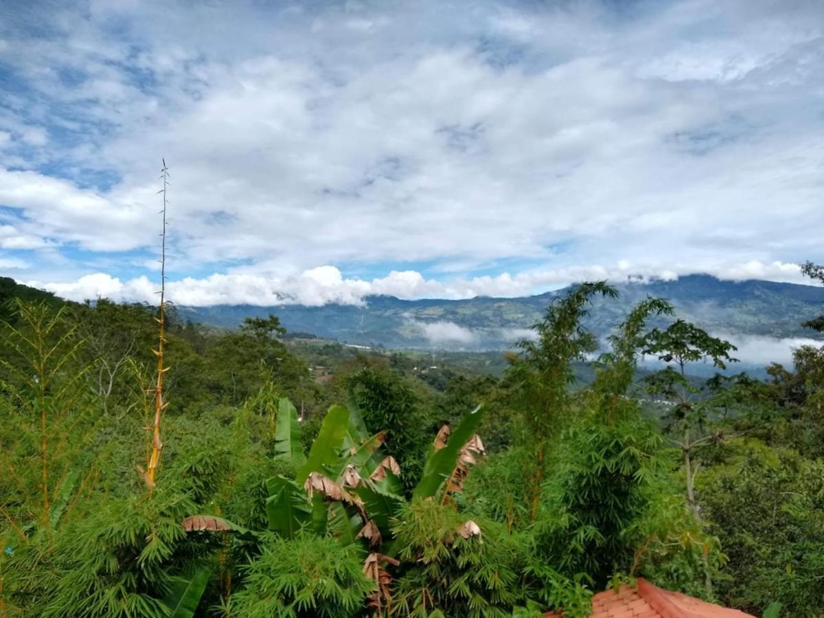 Hotel Green Mountain Turrialba Luaran gambar