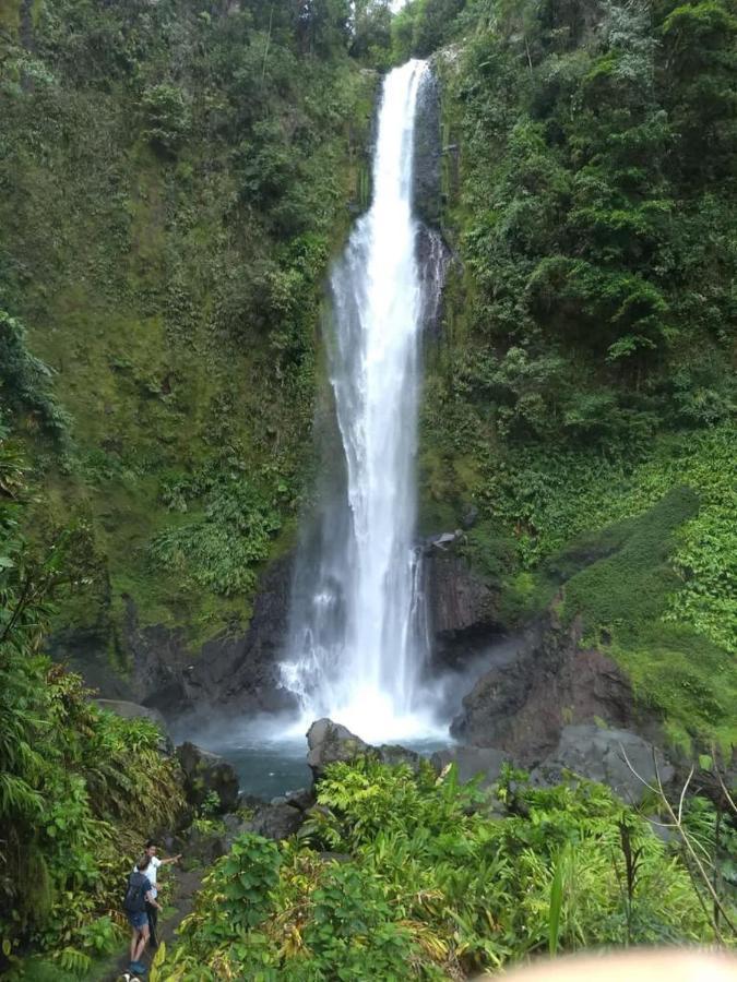Hotel Green Mountain Turrialba Luaran gambar