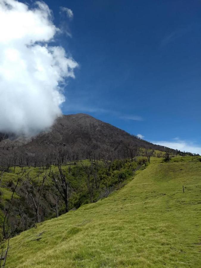 Hotel Green Mountain Turrialba Luaran gambar