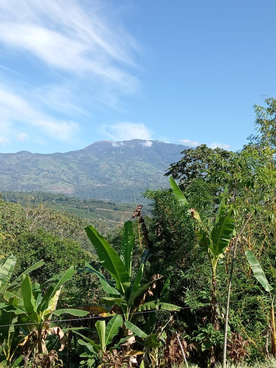 Hotel Green Mountain Turrialba Luaran gambar