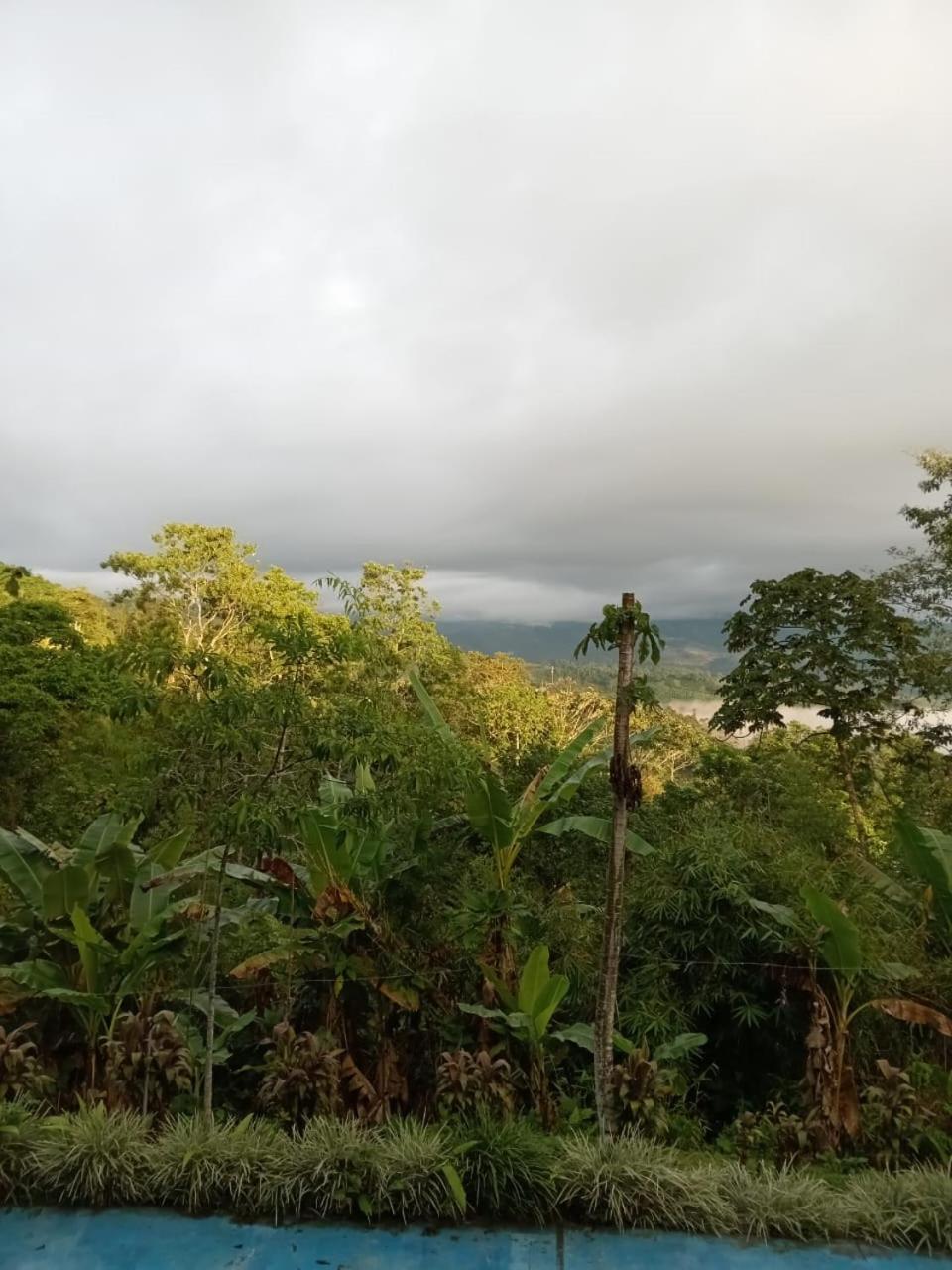 Hotel Green Mountain Turrialba Luaran gambar