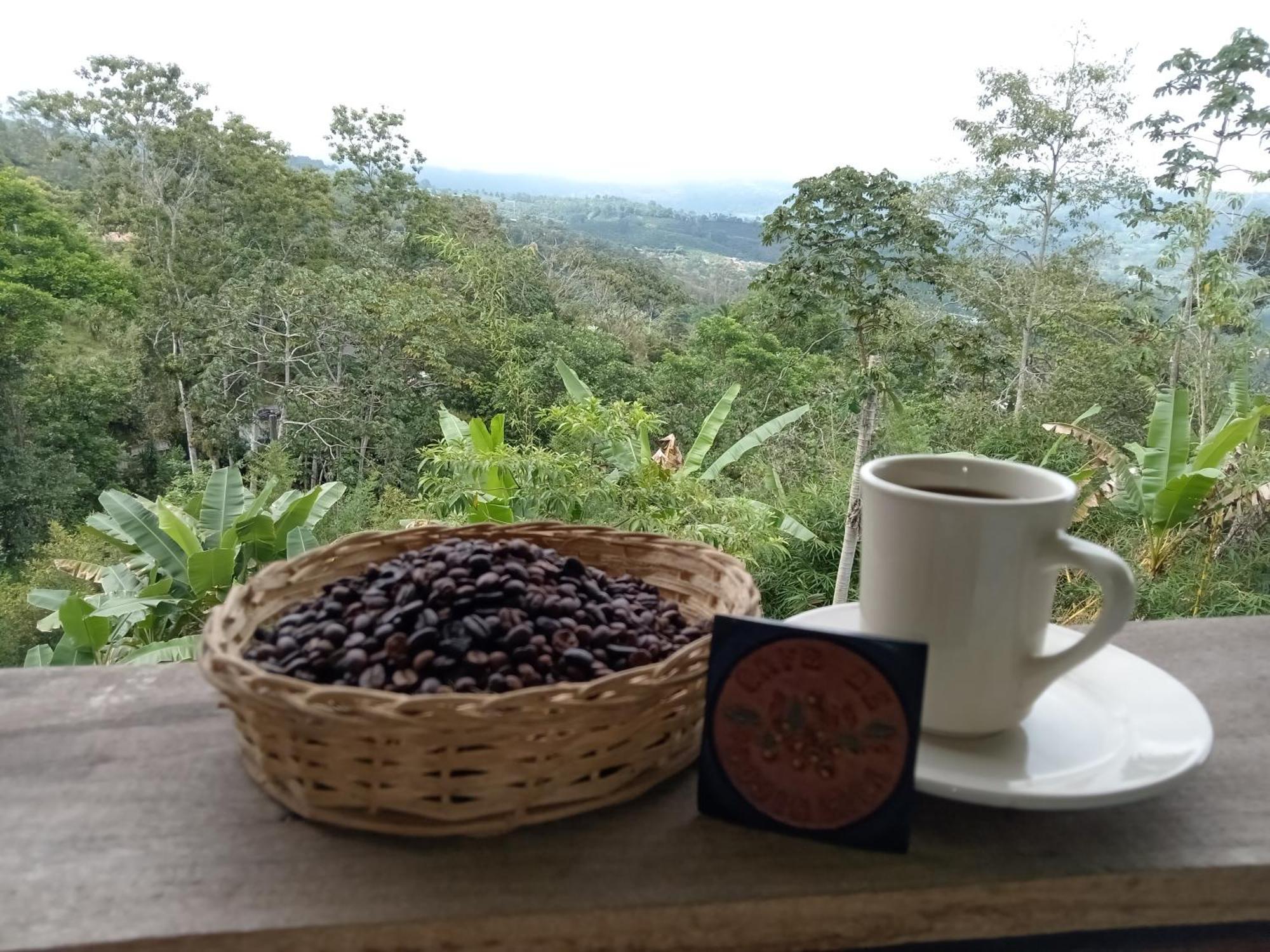 Hotel Green Mountain Turrialba Luaran gambar