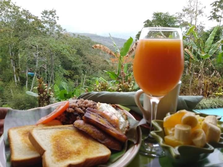 Hotel Green Mountain Turrialba Luaran gambar
