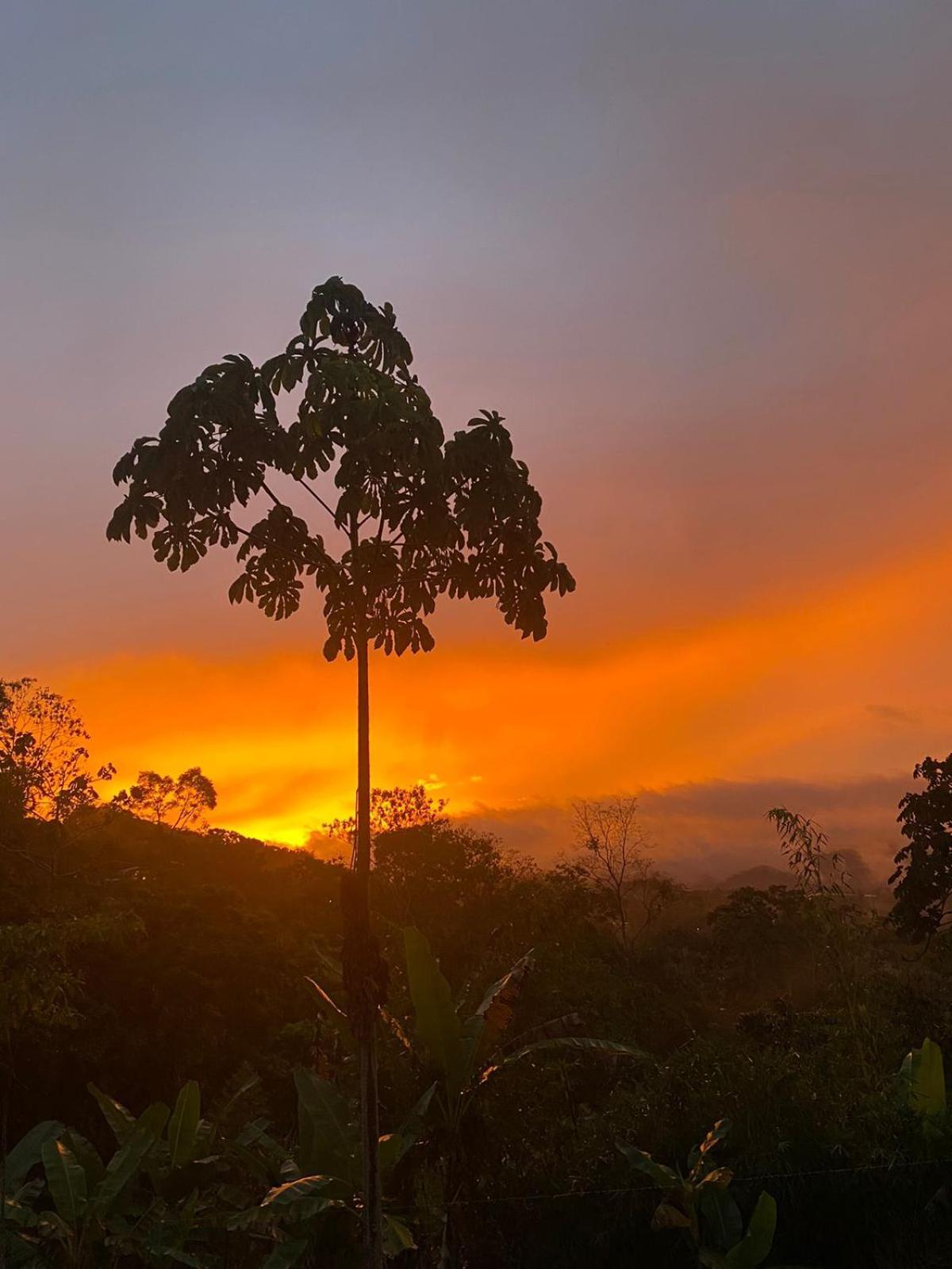 Hotel Green Mountain Turrialba Luaran gambar
