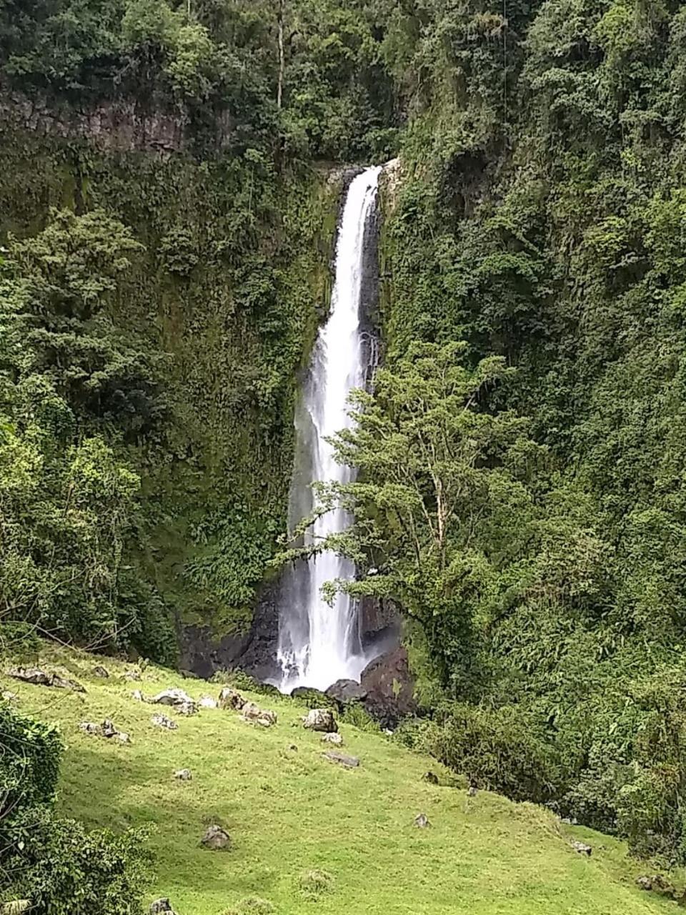 Hotel Green Mountain Turrialba Luaran gambar